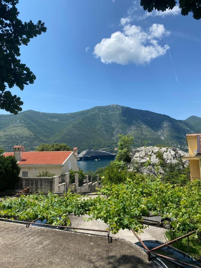 Vasiniko Apartment Kotor Zewnętrze zdjęcie