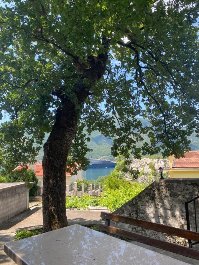 Vasiniko Apartment Kotor Zewnętrze zdjęcie